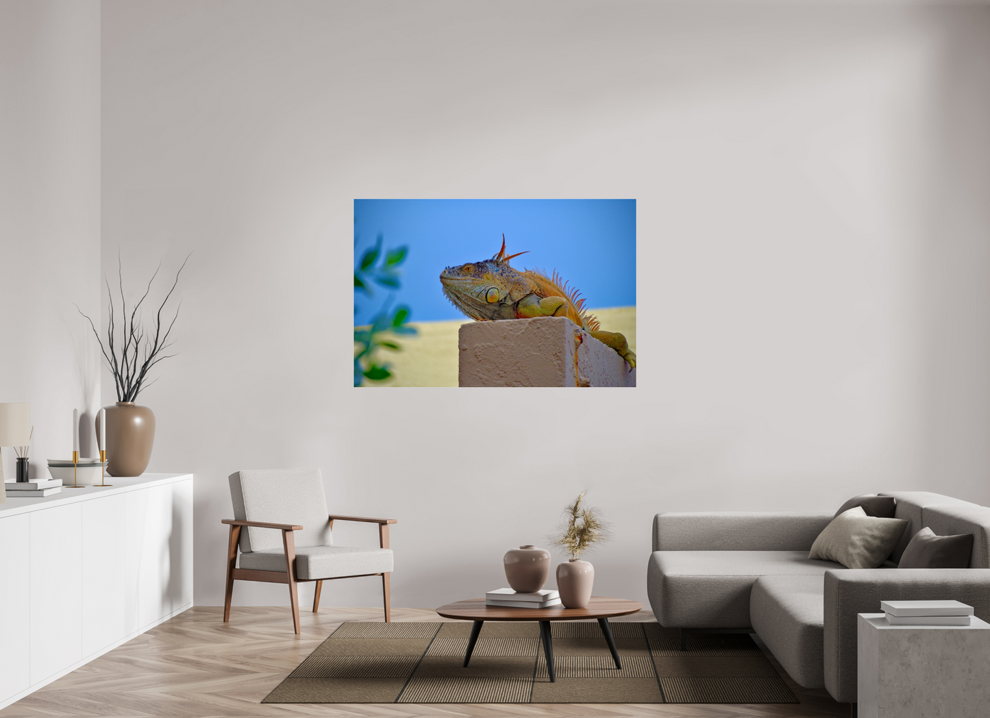 Iguana Iguana