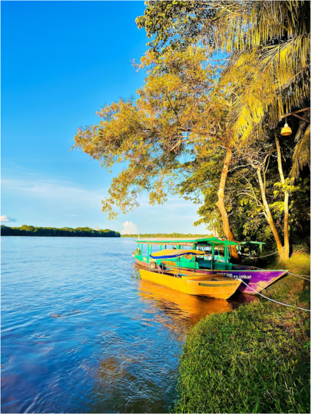 Amazonas Ahoi