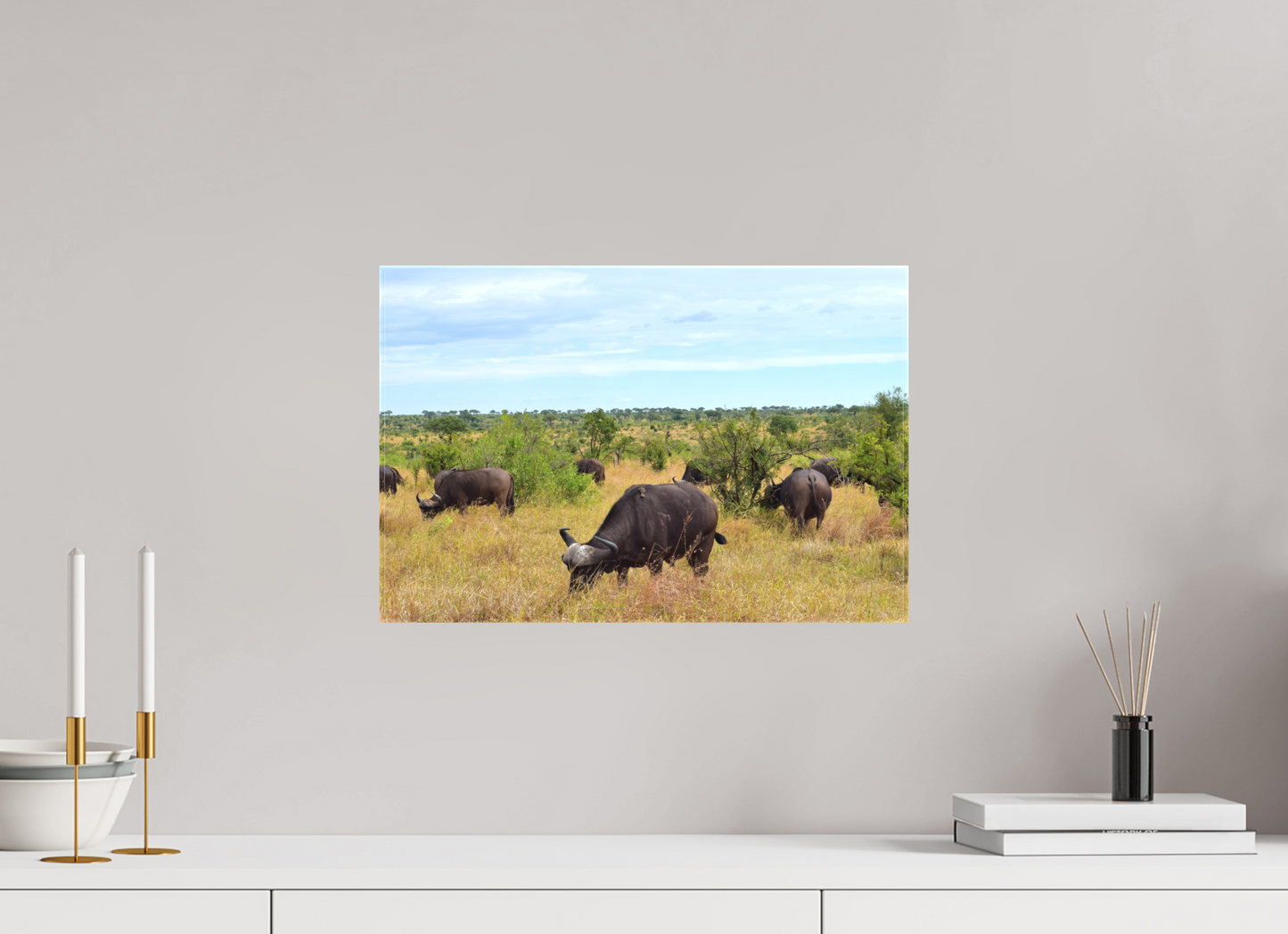 Buffalo