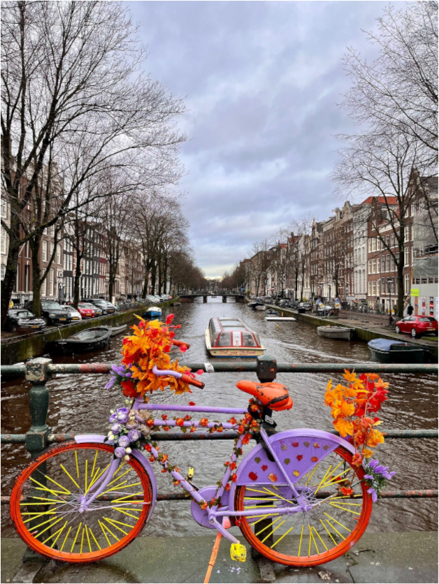 Flowers of Amsterdam