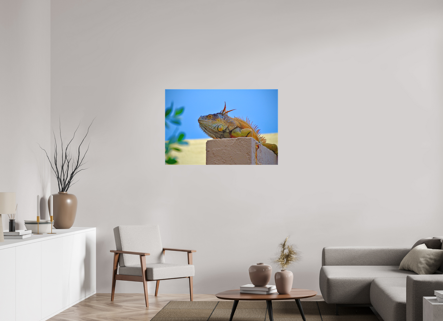 Iguana Iguana