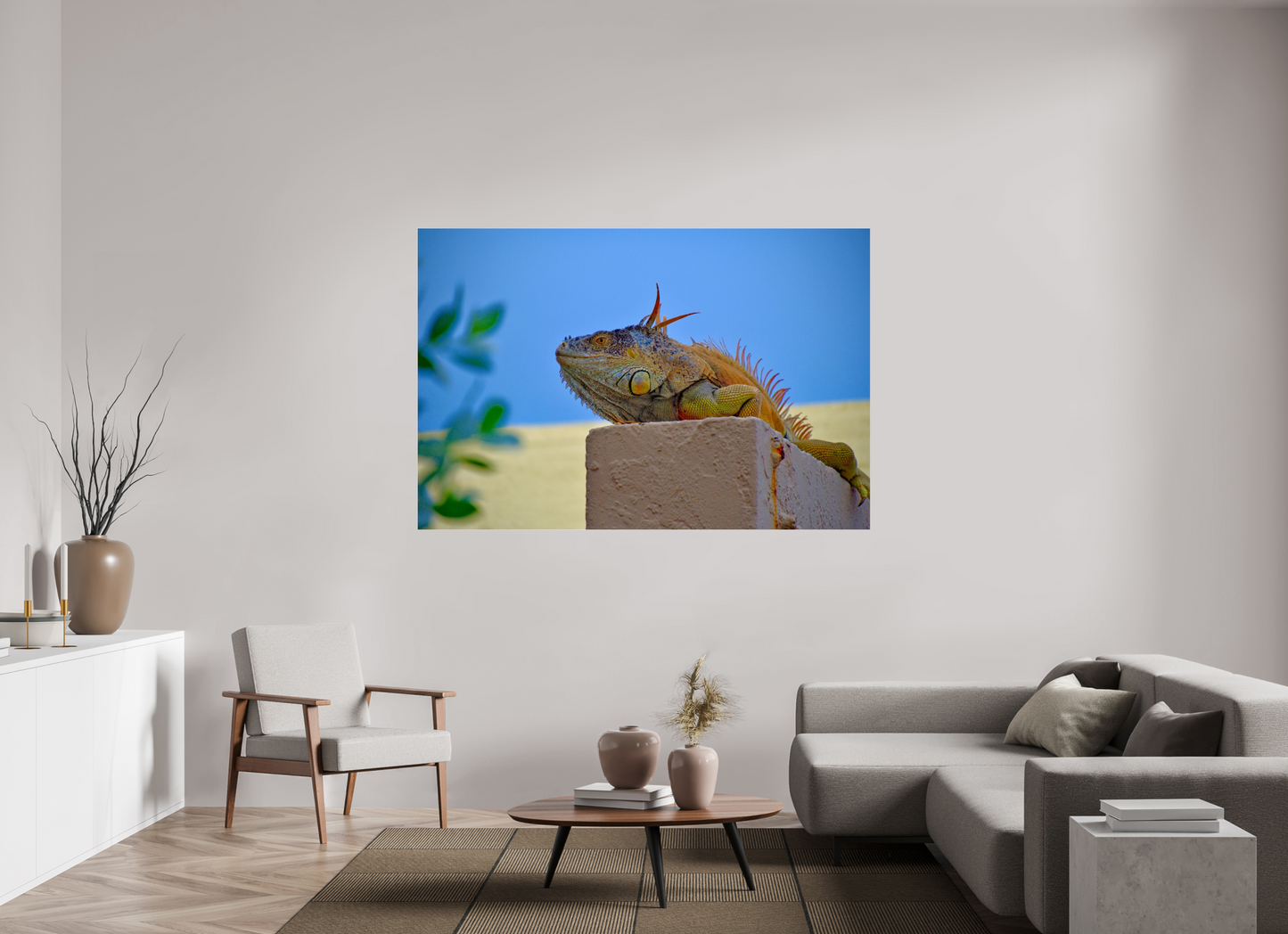 Iguana Iguana
