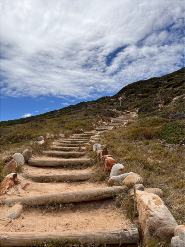 Stone Steps