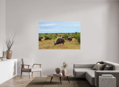Buffalo