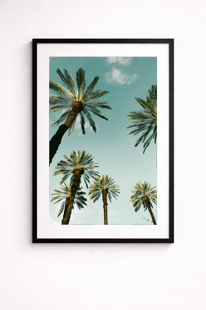 Palm Tree