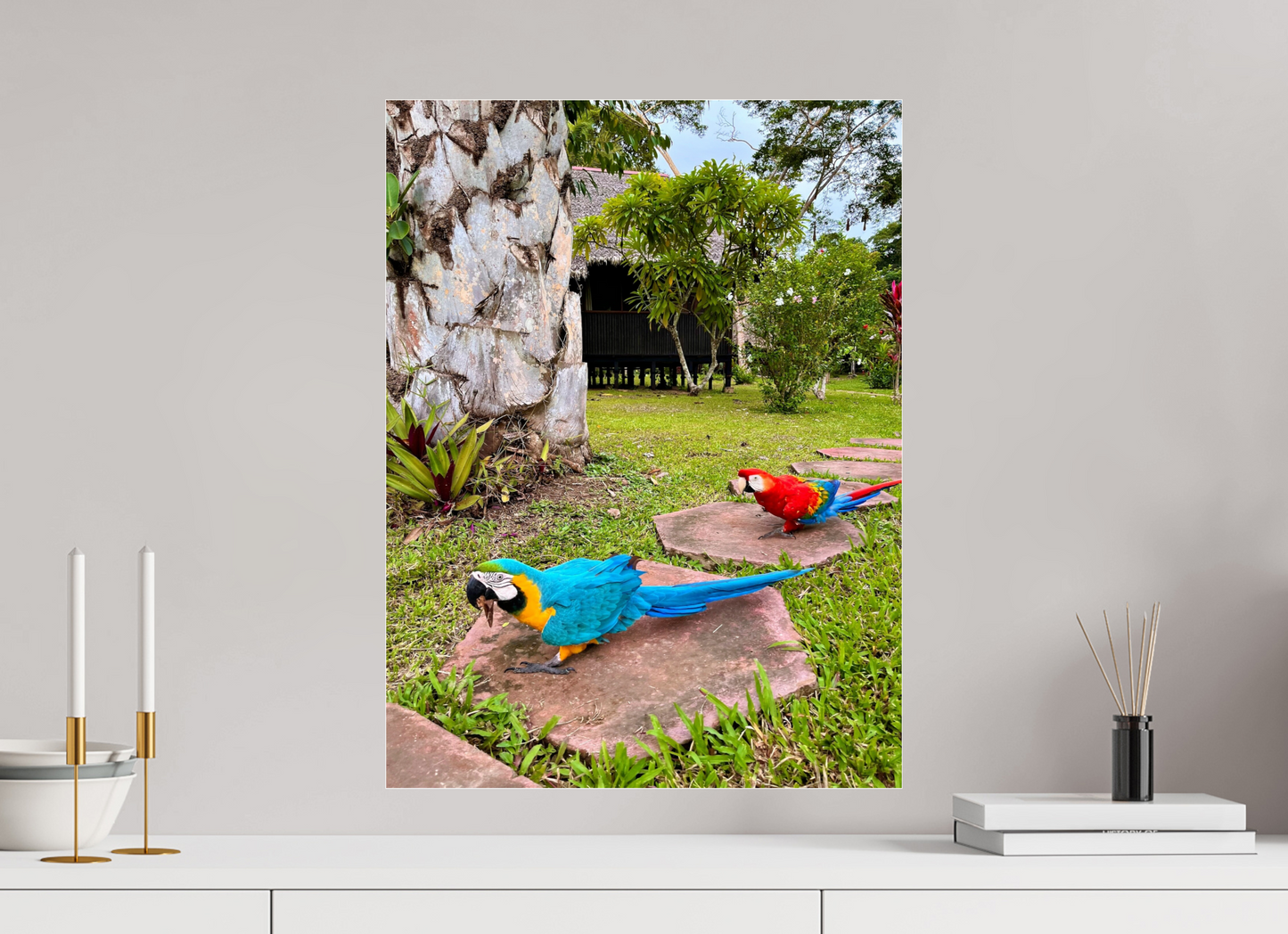 Walking Parrot