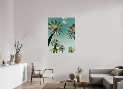 Palm Tree