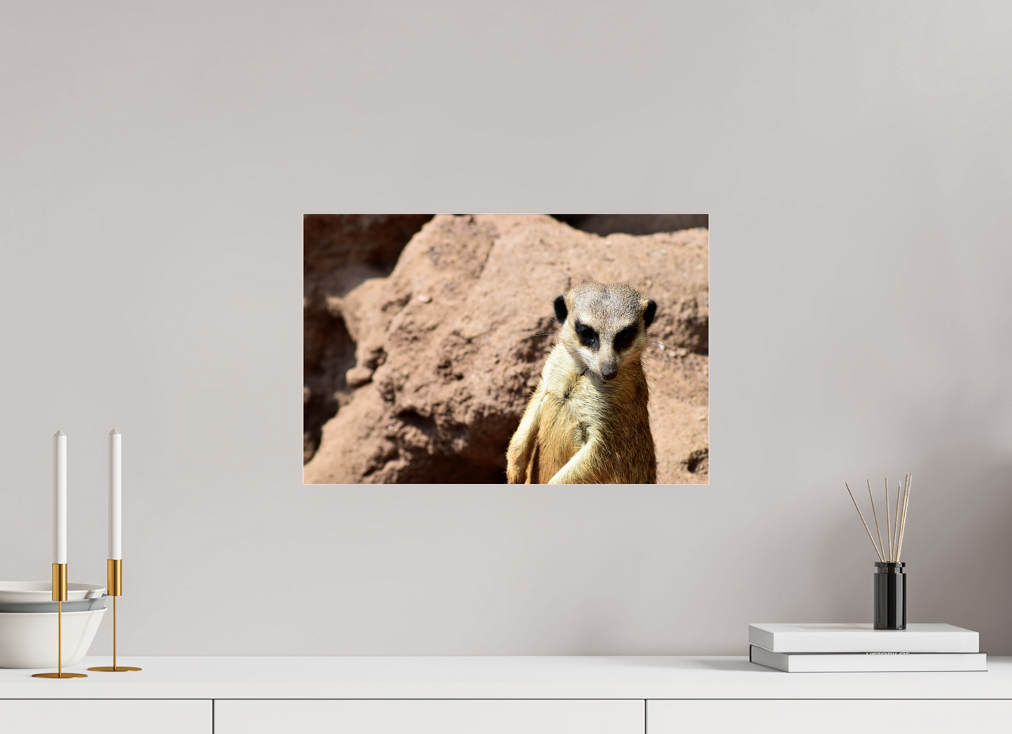 Timon