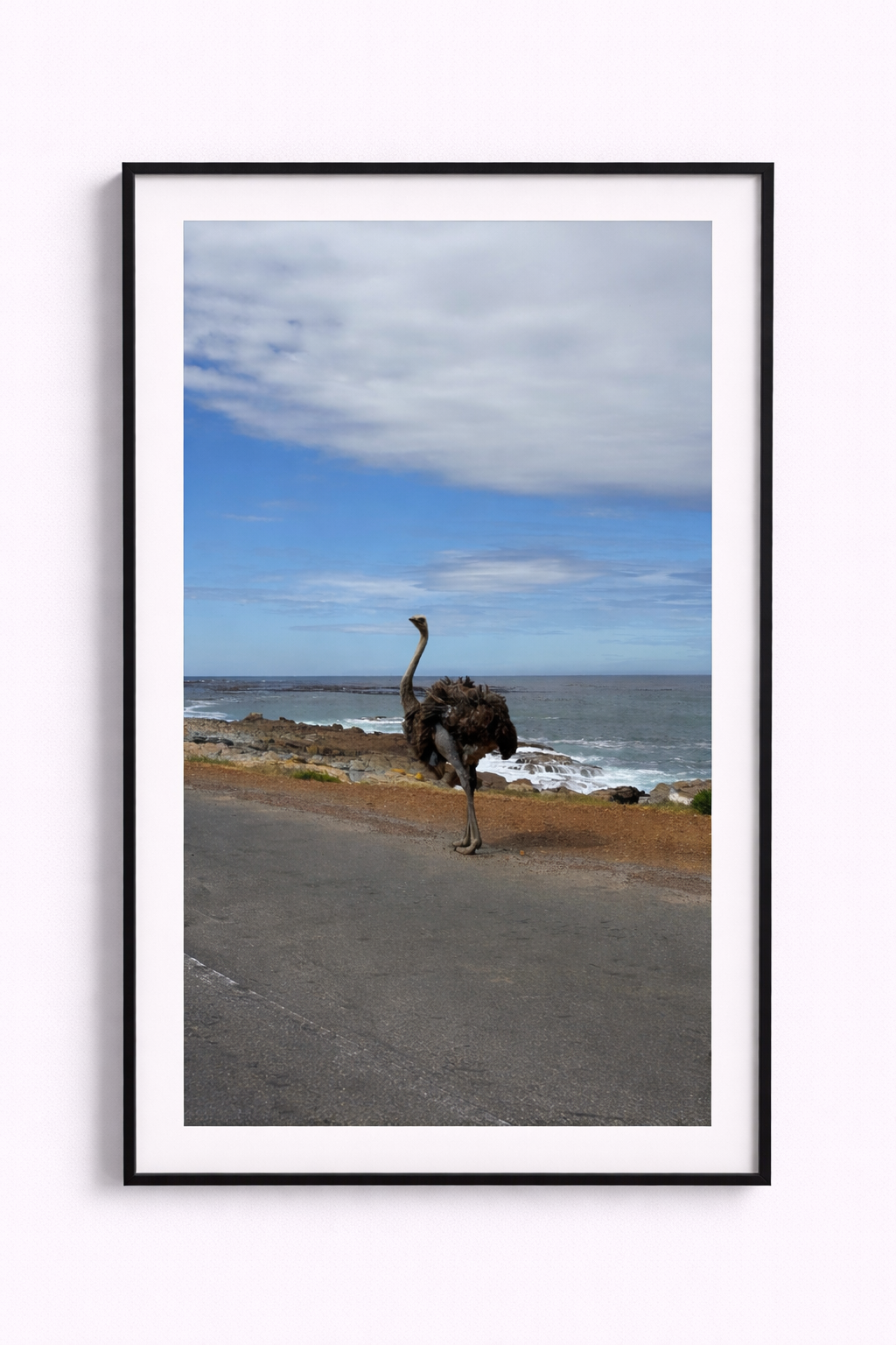 Ostrich