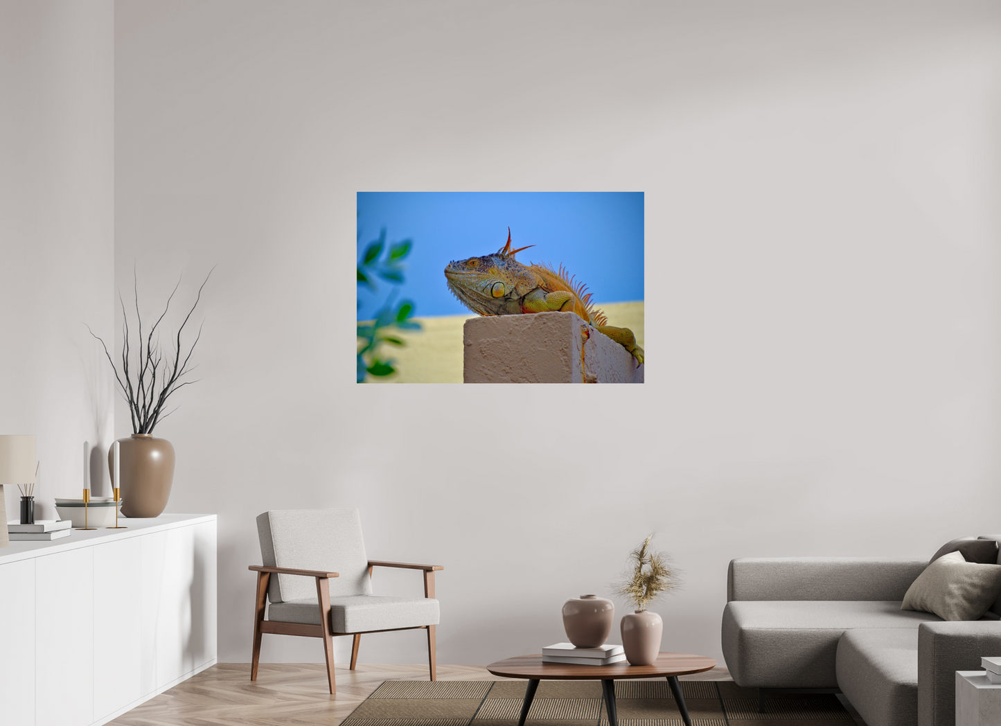 Iguana Iguana