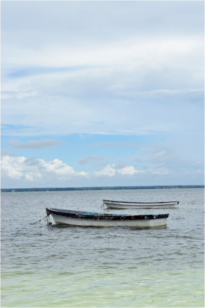 Sailing History