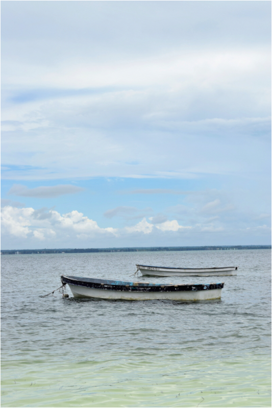 Sailing History