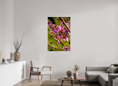 Hatsuzakura