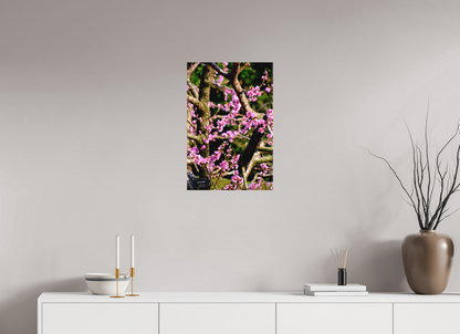 Hanami