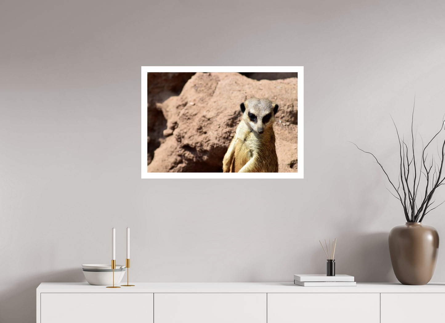 Timon