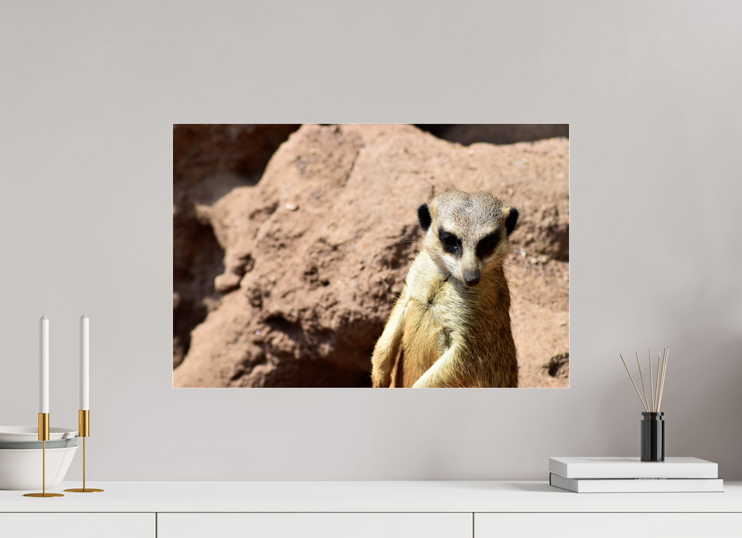 Timon