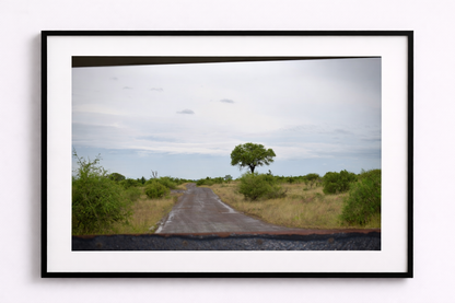 Window to Nature