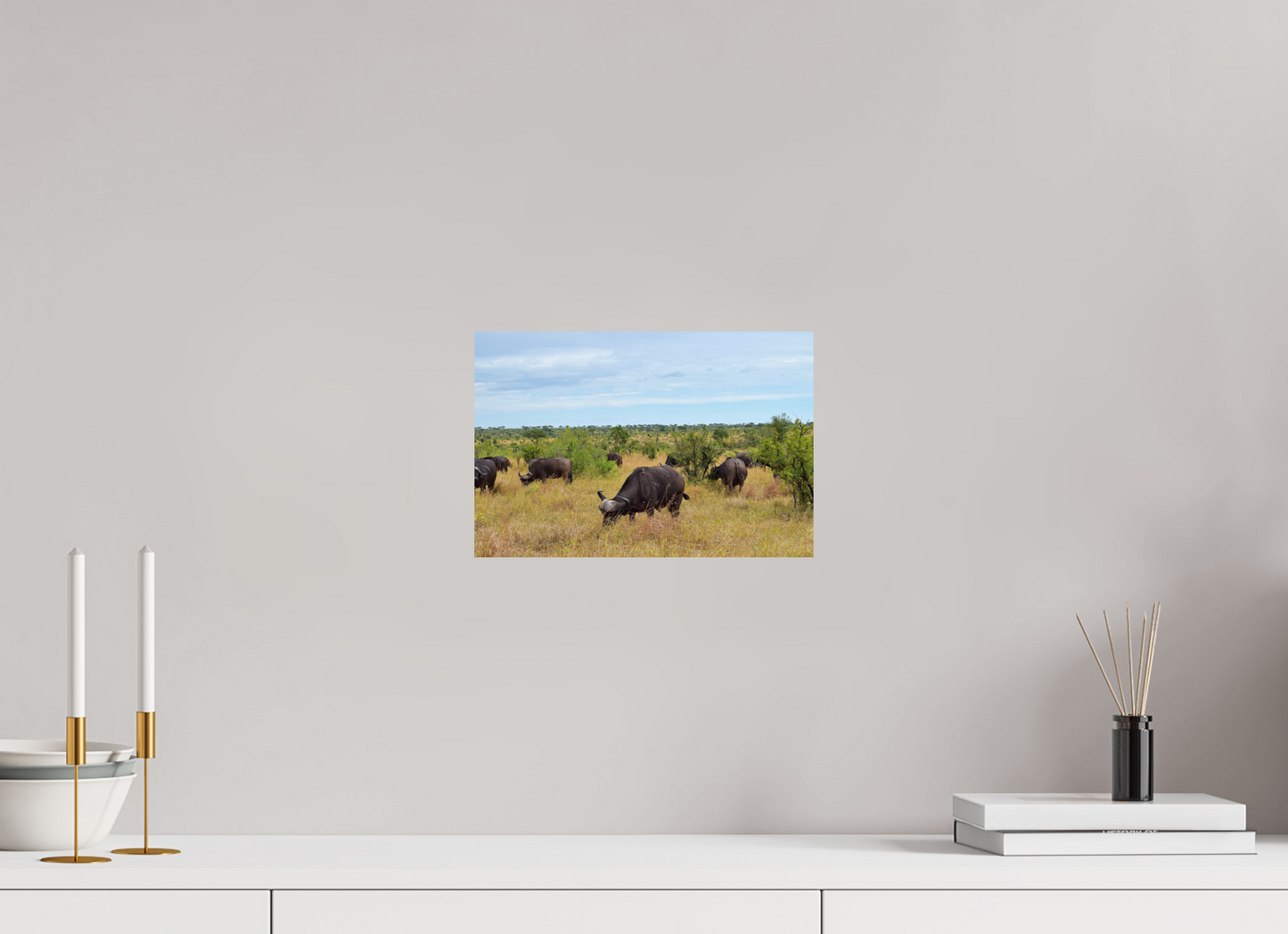 Buffalo