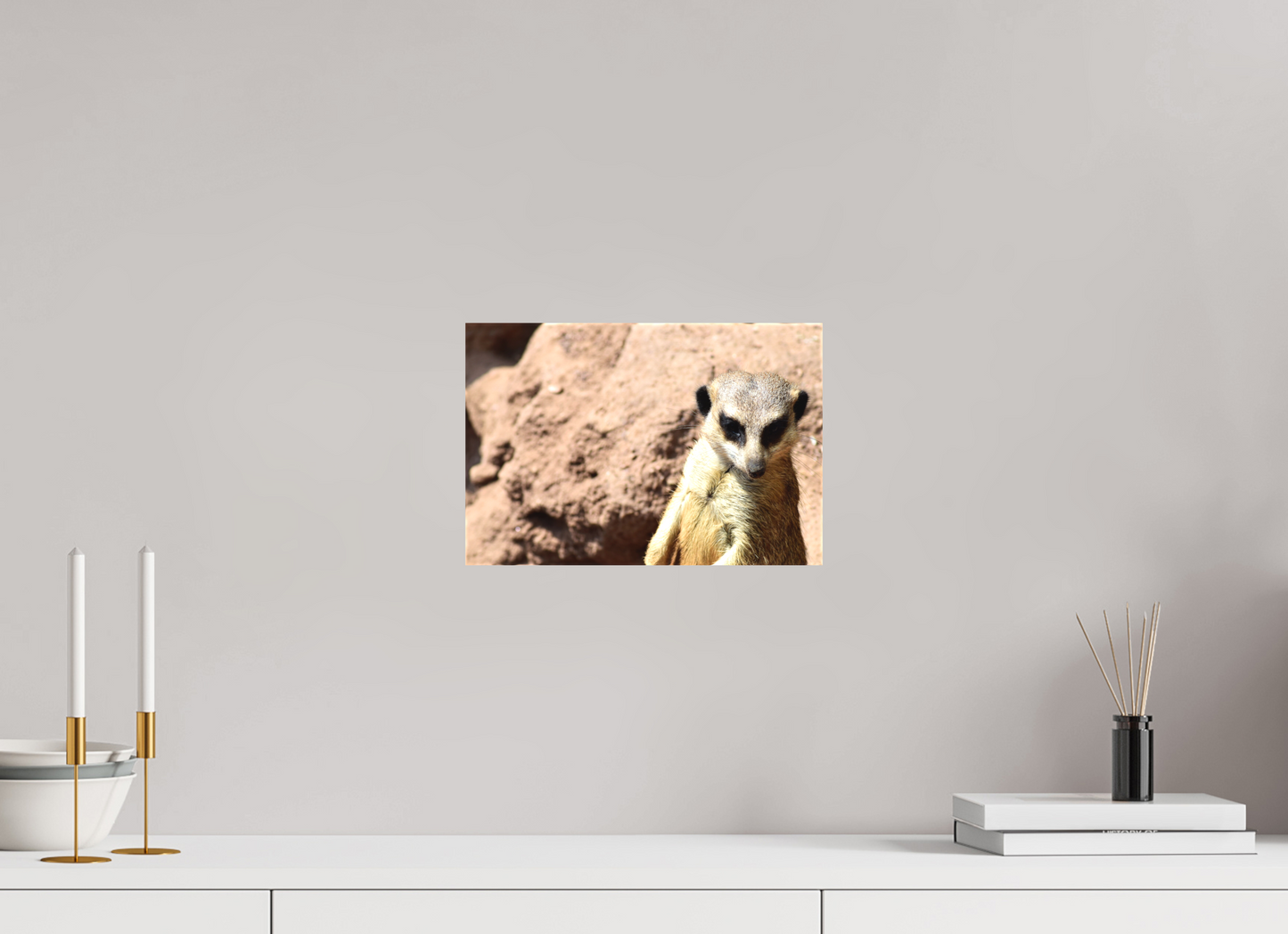 Timon