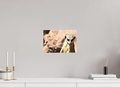 Timon