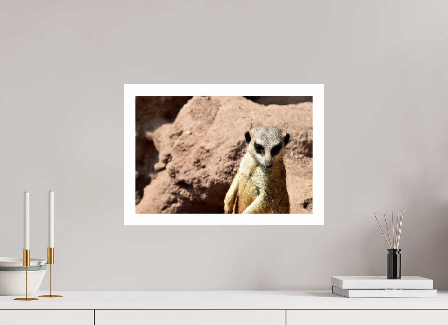 Timon