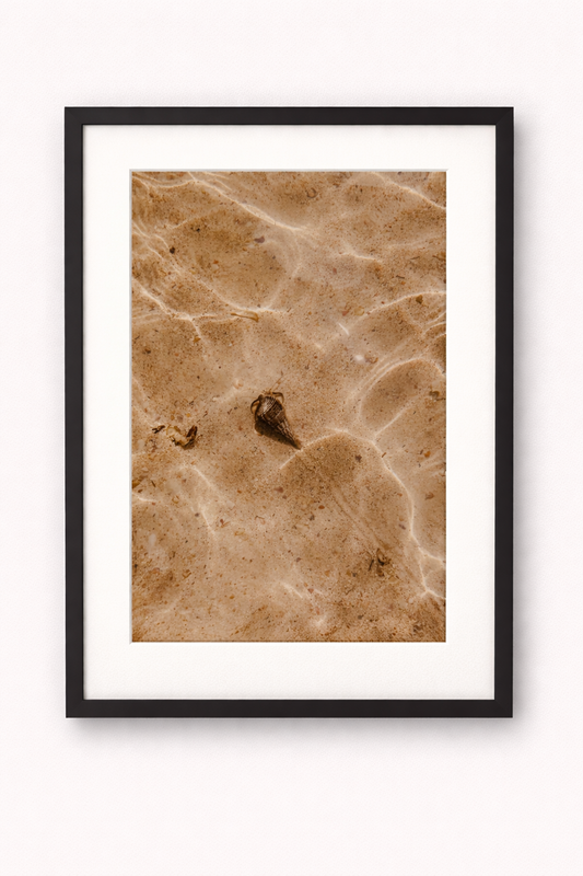 Shell