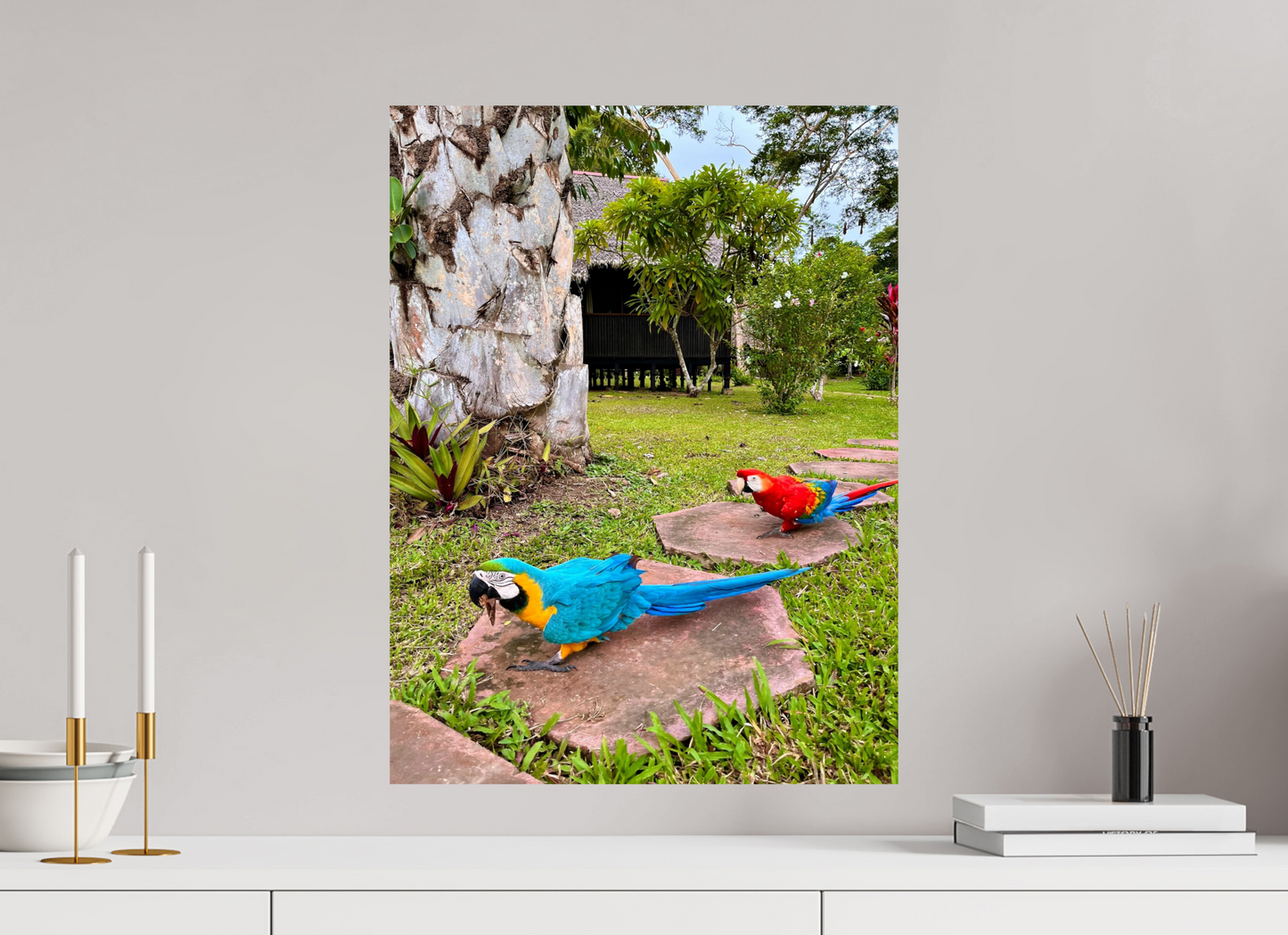 Walking Parrot