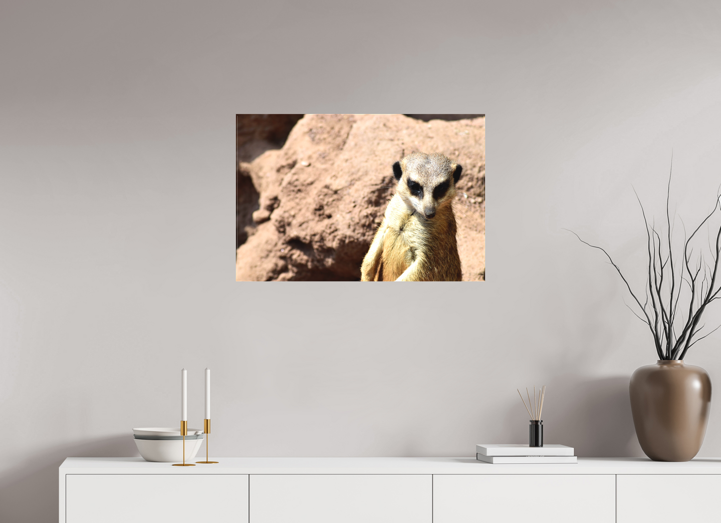 Timon