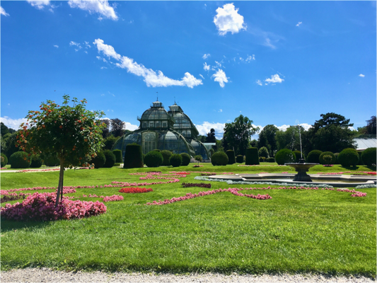 Palm House