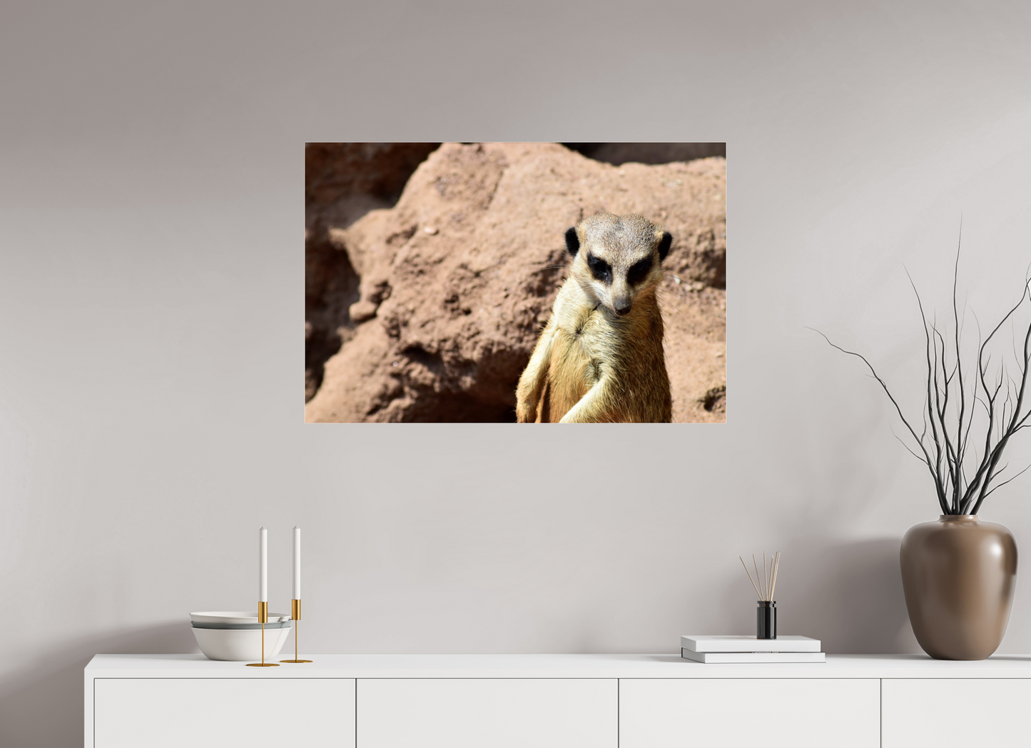 Timon