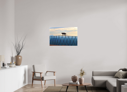 Monkey 007