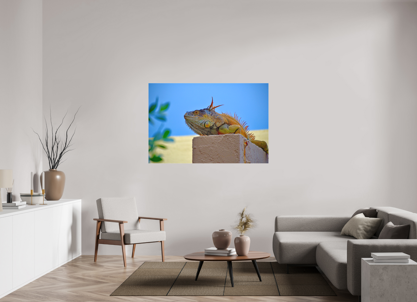 Iguana Iguana