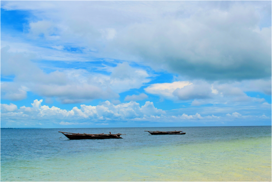 Boat Trip