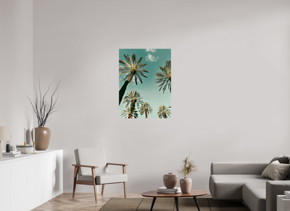Palm Tree