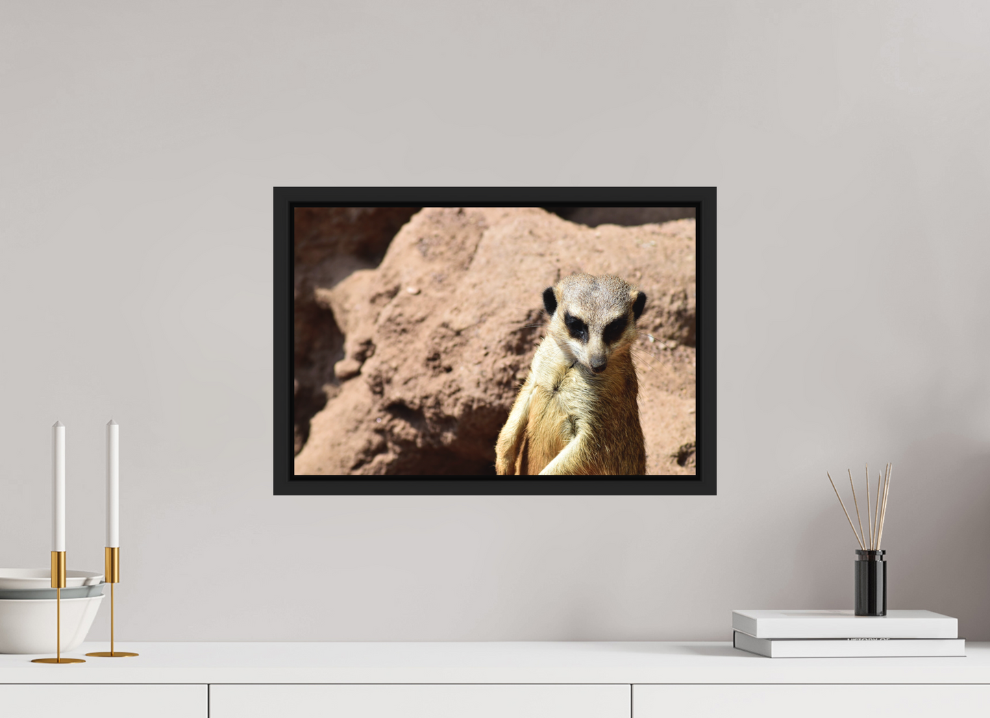 Timon