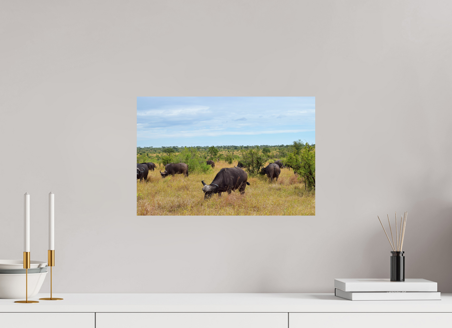 Buffalo
