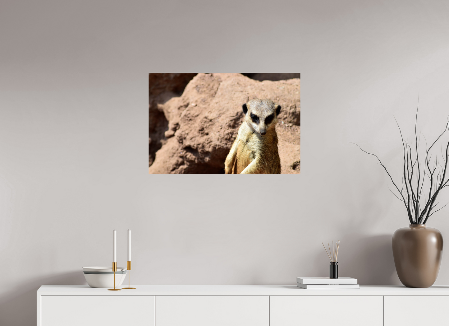 Timon