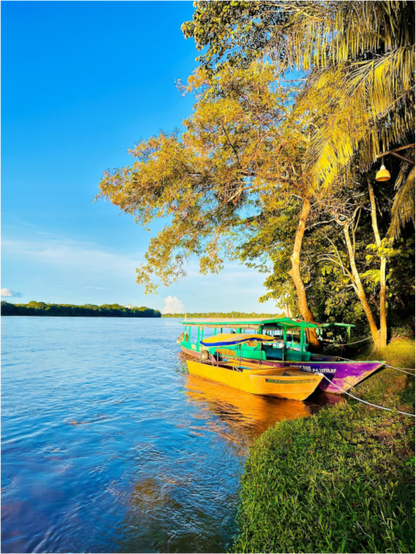 Amazonas Ahoi
