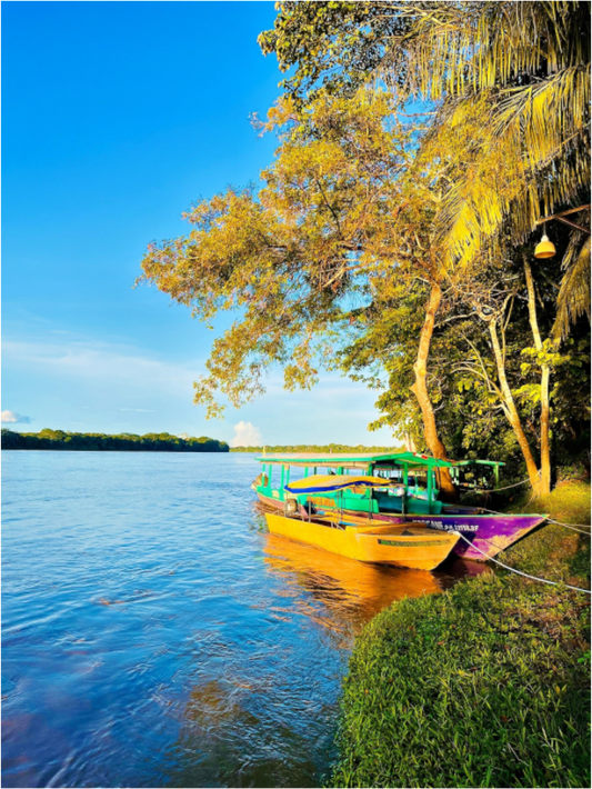 Amazonas Ahoi
