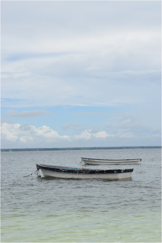 Sailing History