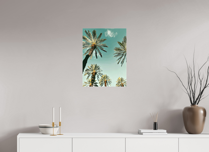 Palm Tree