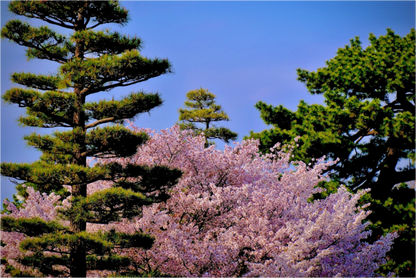 Gaku-iri Tōkyō Ni
