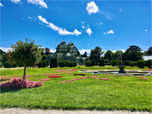 Palm House