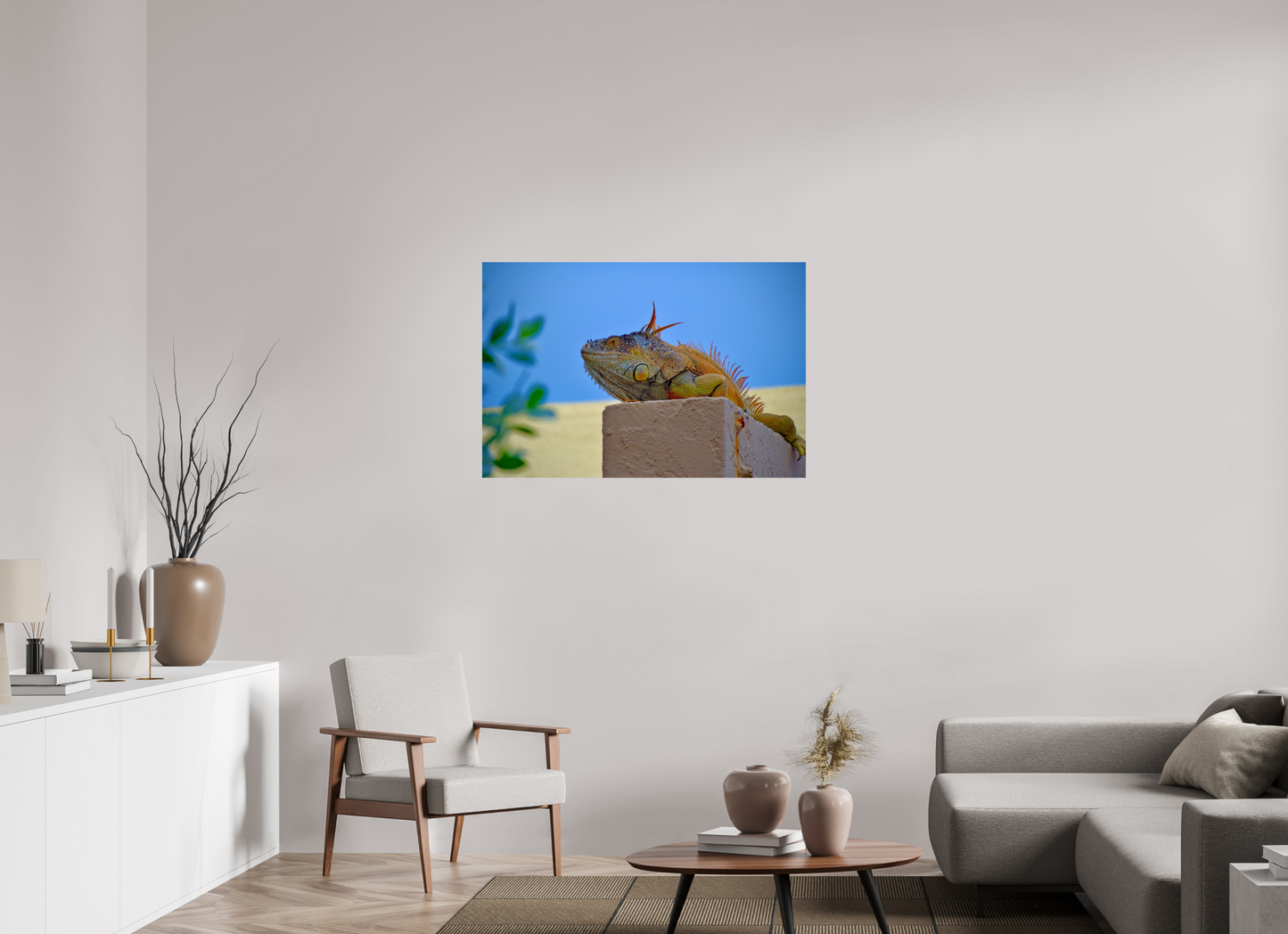 Iguana Iguana
