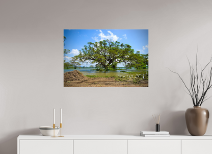 Circle of Life