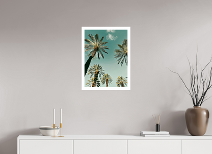 Palm Tree