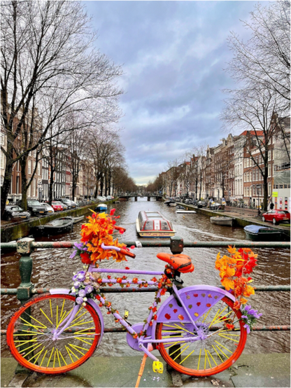 Flowers of Amsterdam