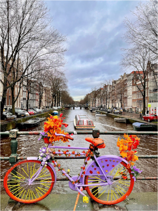 Flowers of Amsterdam