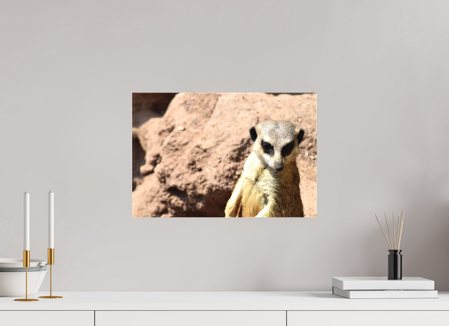 Timon