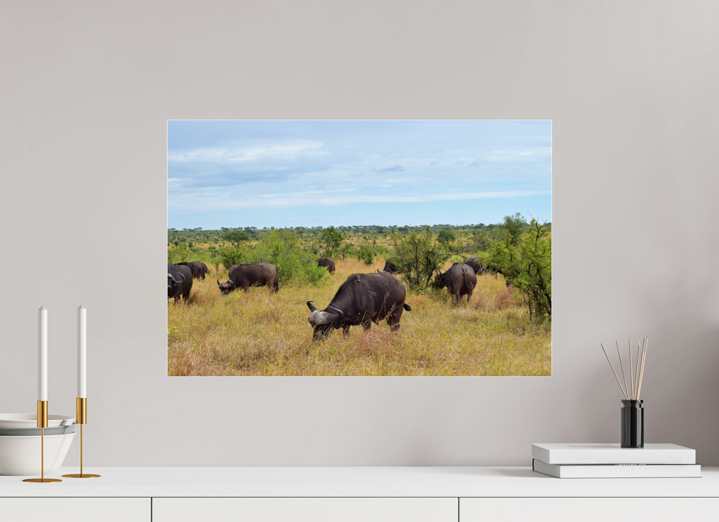 Buffalo